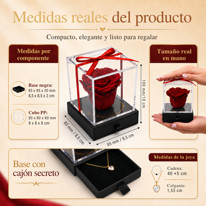 Medidas de Rosa Eternity, collar de corazón y colgante