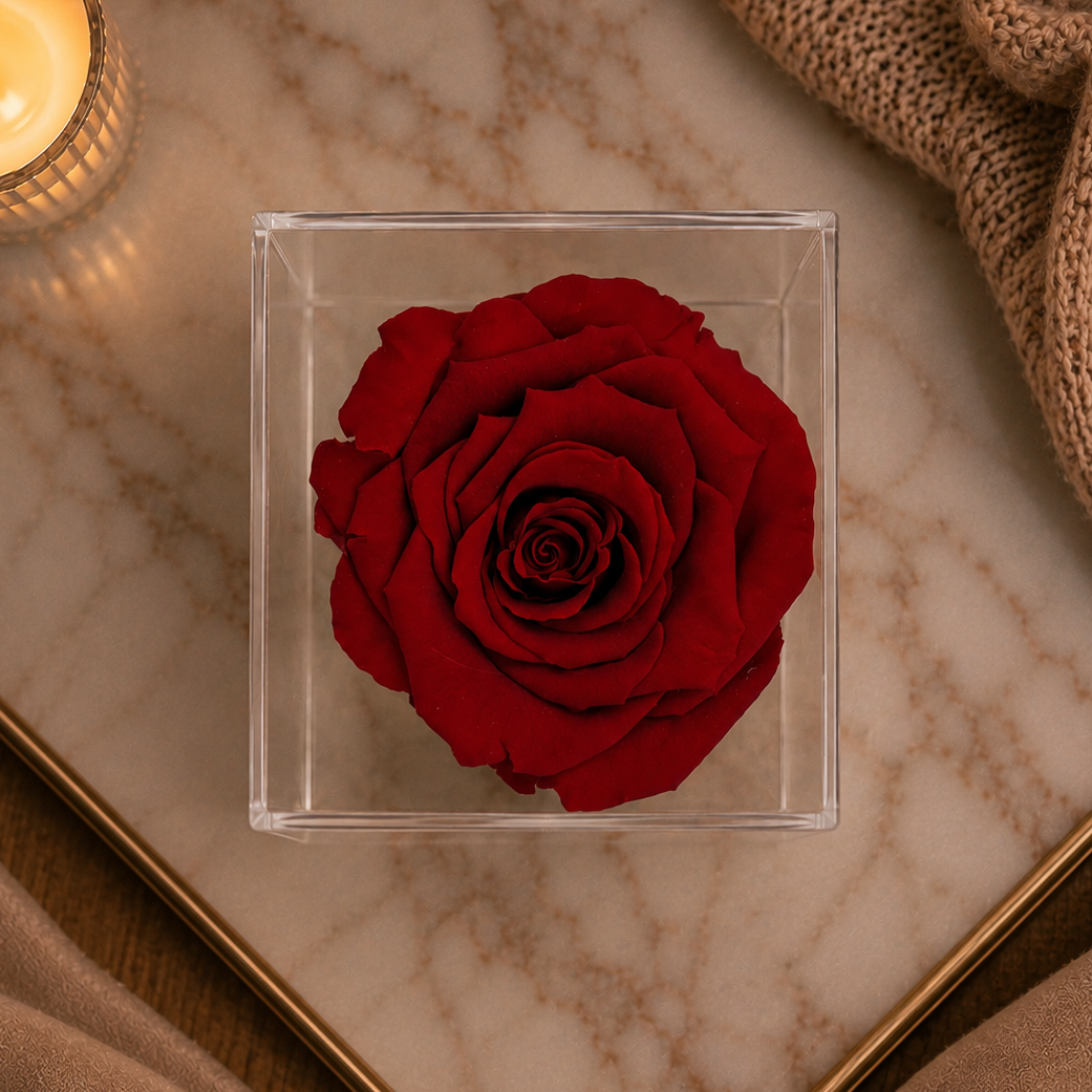 Rosa Eternity con cajón abierto y collar de corazón sorpresa