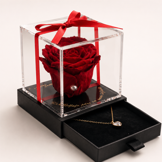 Rosa Eternity con rosa preservada natural roja y collar de corazón