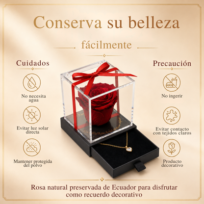 Rosa preservada con collar de corazón como regalo para pareja